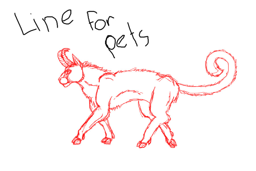 line for pets?