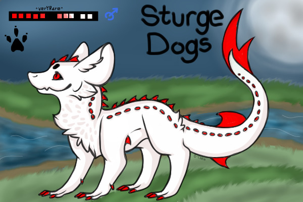 Sturge Dogs Adopts