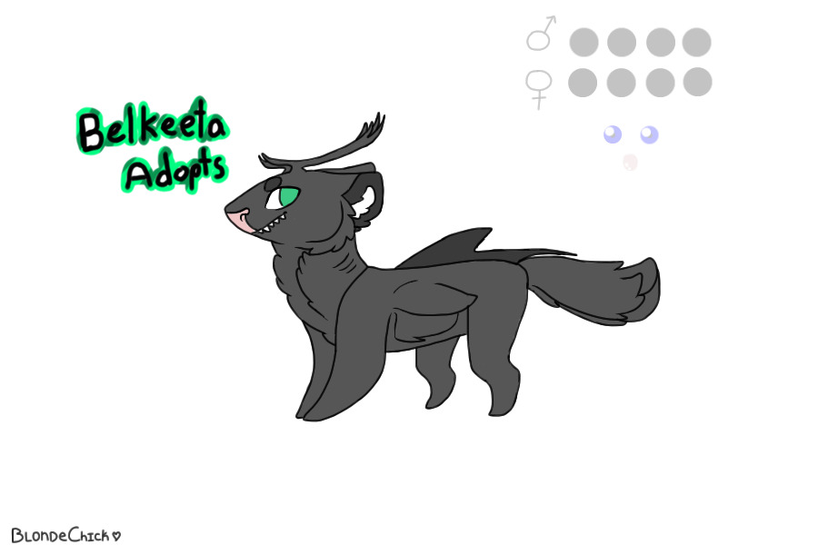 Belkeeta Adopts