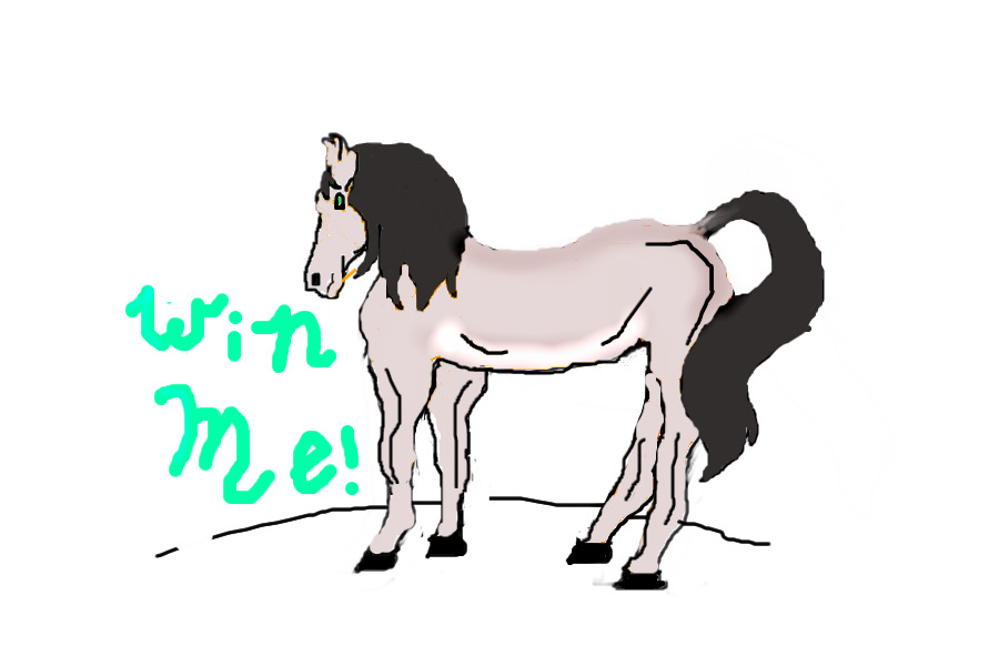 Adoption contest #2 Andalusian