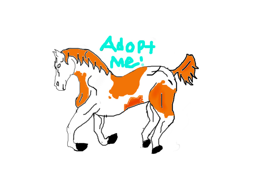 Horse Adoptions #4 American Indian Horse