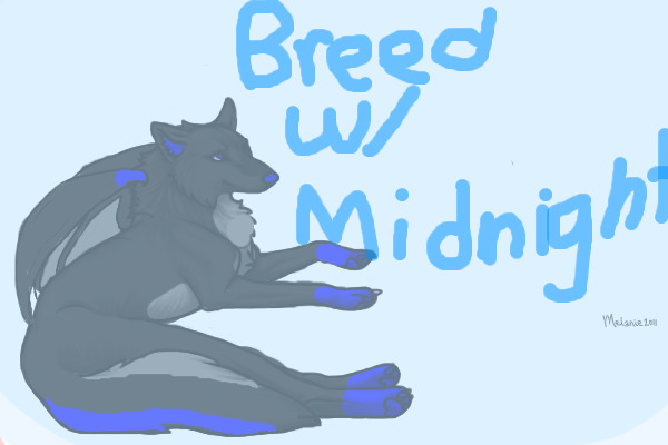 Breed w/Midnight