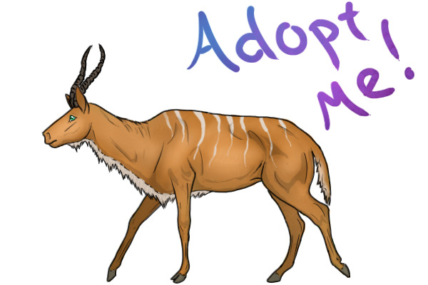 antelope horns