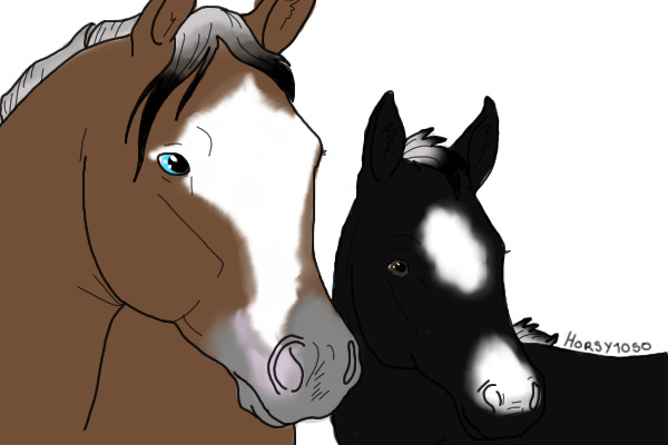 Midnight and his mother