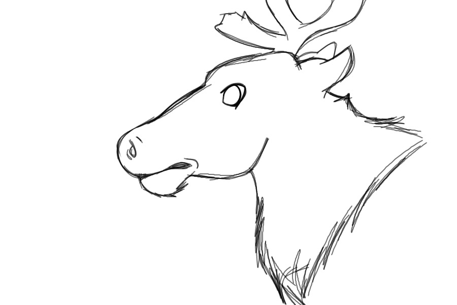 Elk? Or Caribou? Or something?