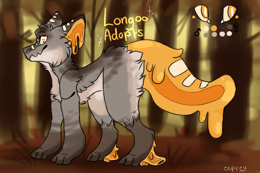 longoo adopts - new owner