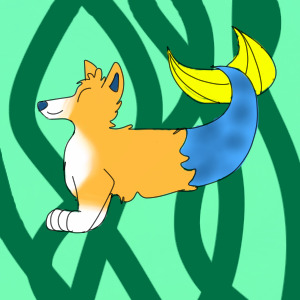 MerCorgi Productions