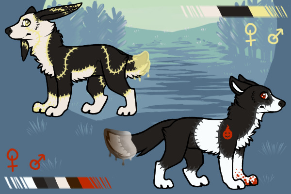 Chi x Caddy Final Litter <3