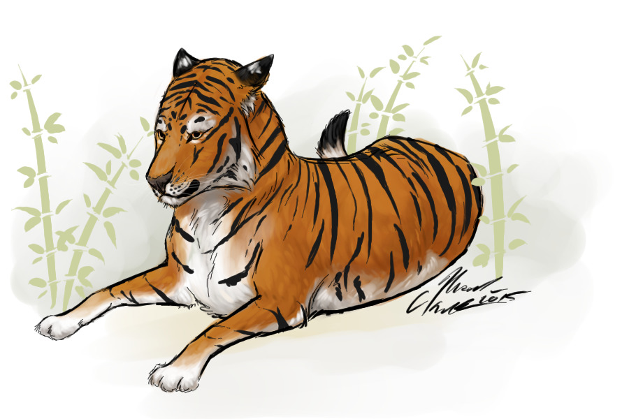South China Tiger || Extinct in Wild