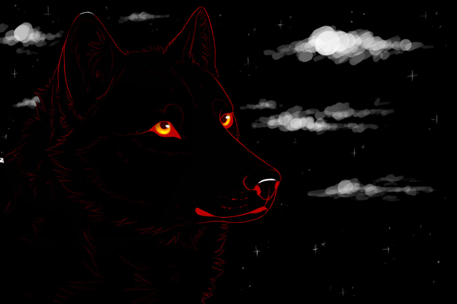 Night wolf