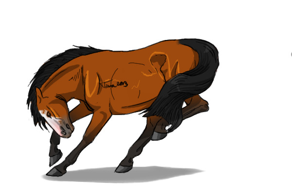 #39 Bay