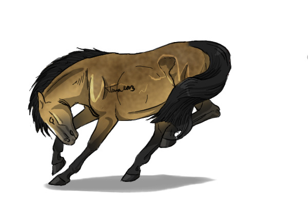#40 Sooty Buckskin