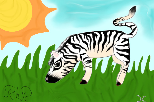 Zebra in the savanne :)