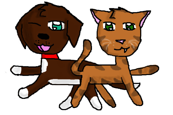 Dog & Cat (Finished)