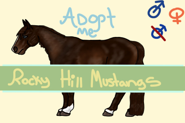 Rocky Hill Mustang Adopts - Searching for Artists & Mods