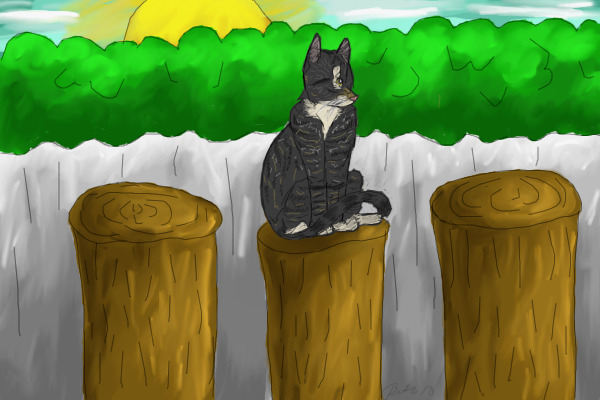 Commission for Rhiley
