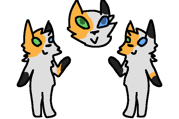 New OC maybe?