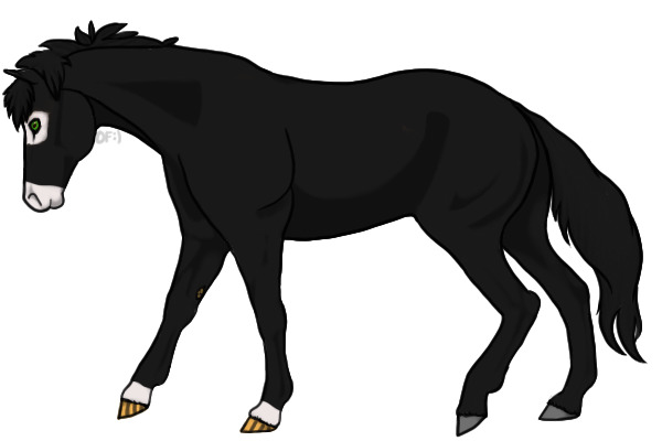 Black Mask Horse