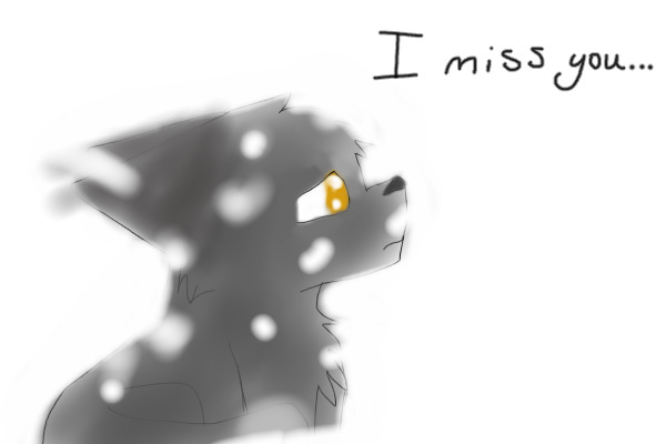 I Miss you...