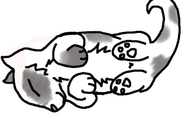 itsa kitty