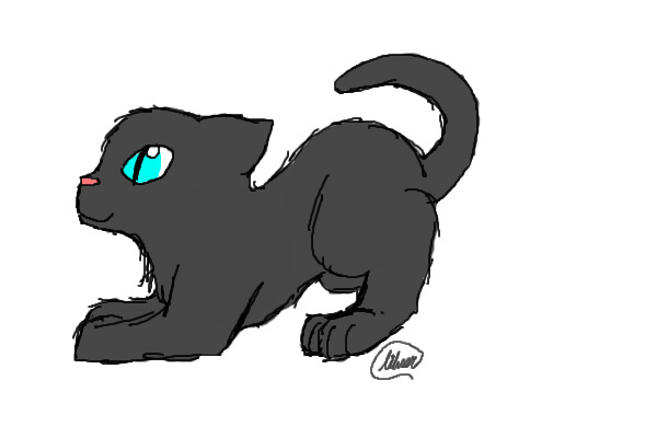 Kitty