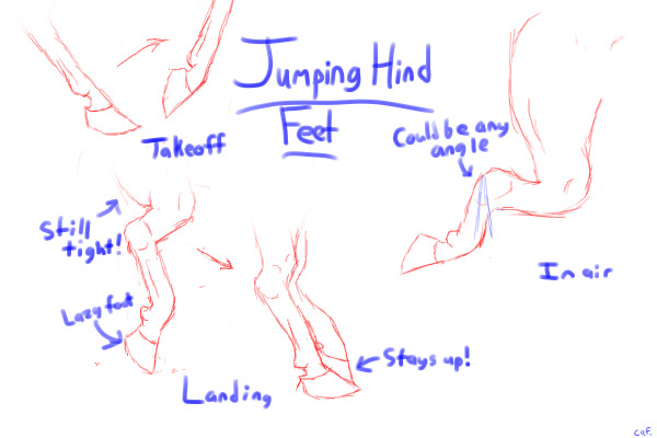 Jumping Hind Feet (for ±±NO±±)