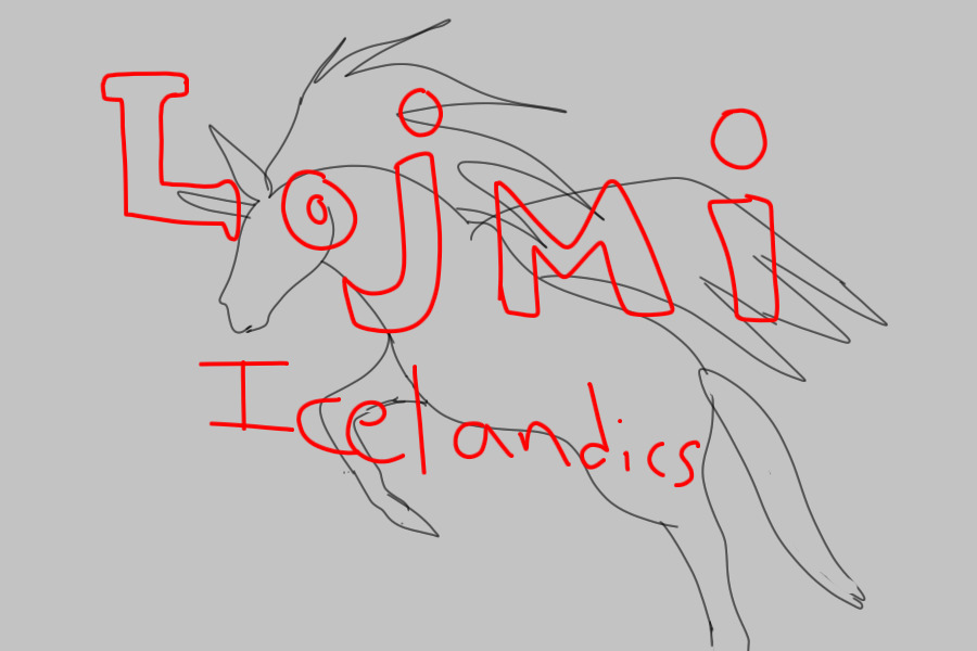 Lojmi Icelandic Ponies V1 seeking staff and afffiliates