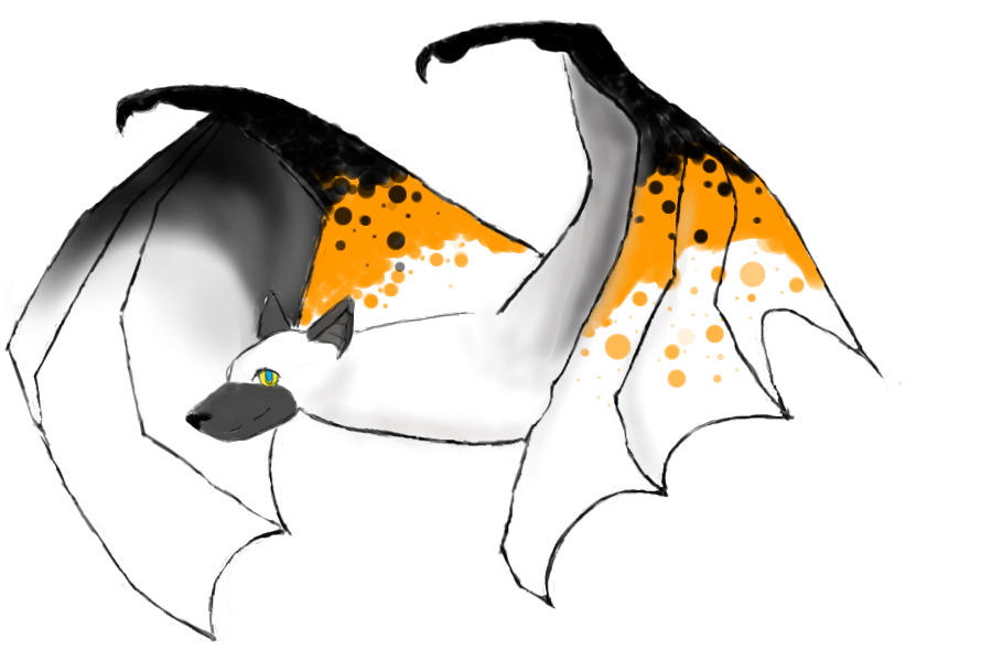 2014 Halloween Bat!