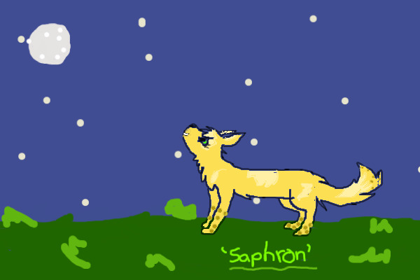 Drawing of Saphron!