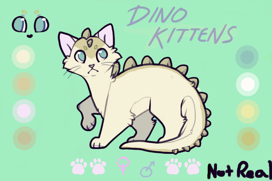 Dino Kitten - Entry #1