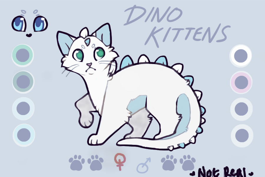 Dino Kitten entry #2