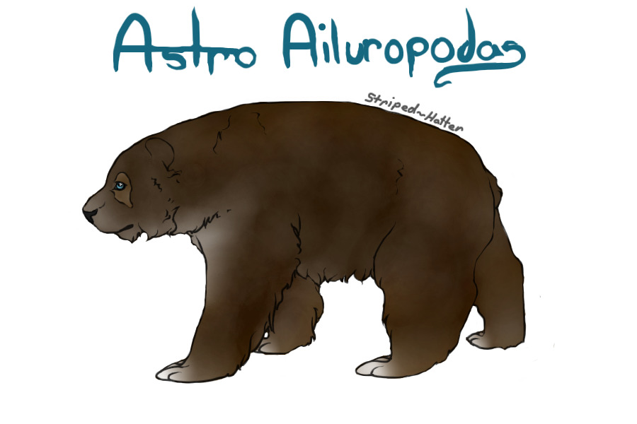 Astro Ailuropoda Adoption