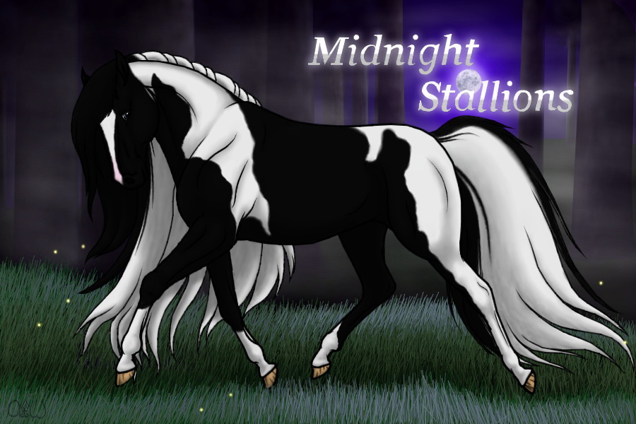 ~❊~Midnight Stallions~❊~
