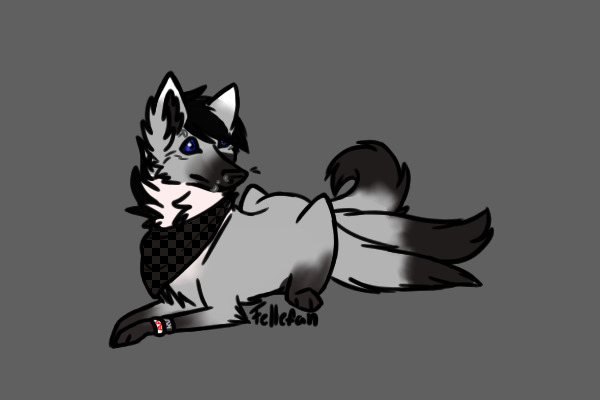 colored in