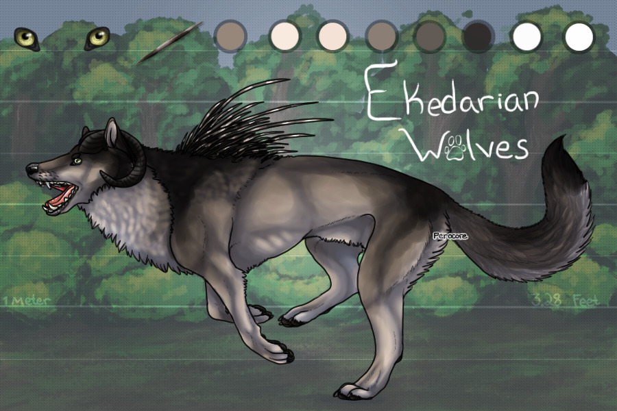 Ekedarian Wolf - Closed for now