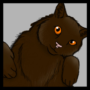Brown Kitty