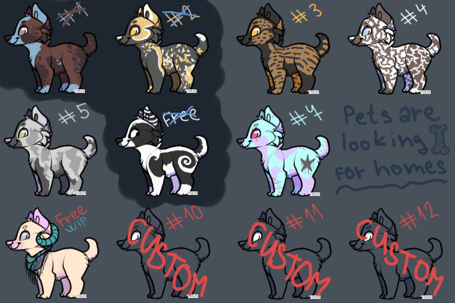 dogs are looking for home! (one for free; customs~)