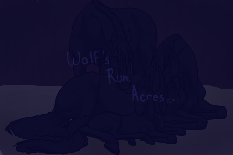 Wolf's Run Acres