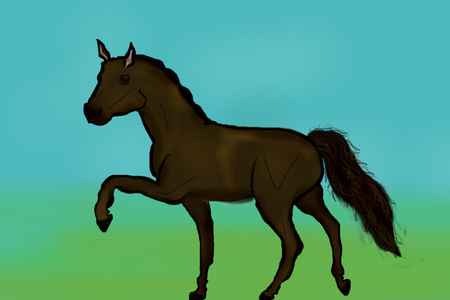 Wild Horse