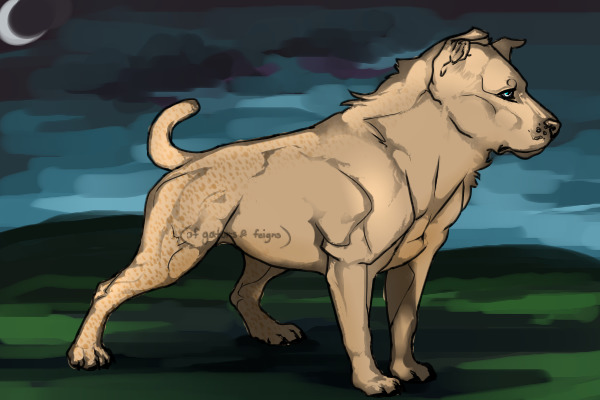 Cimarron Treader.... :)