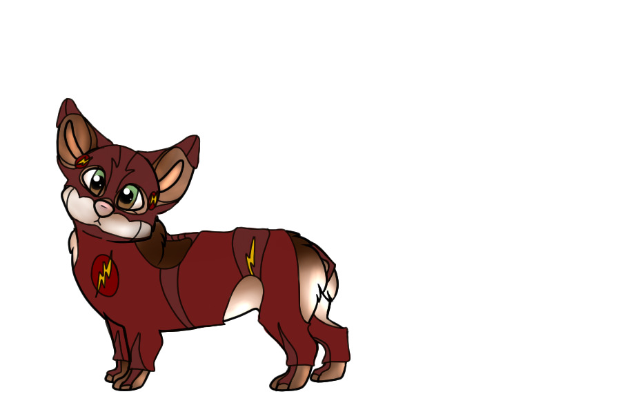 Flash Corgi