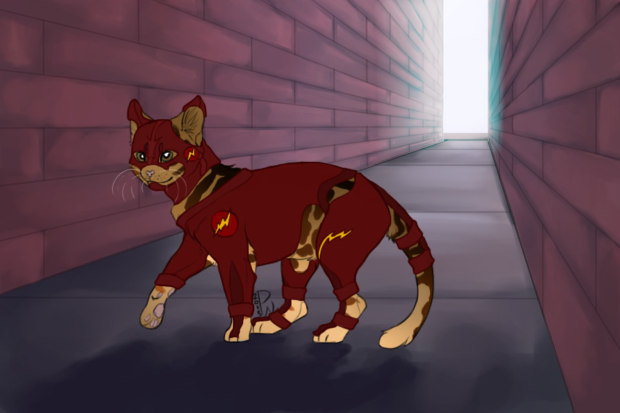 Flash Cat