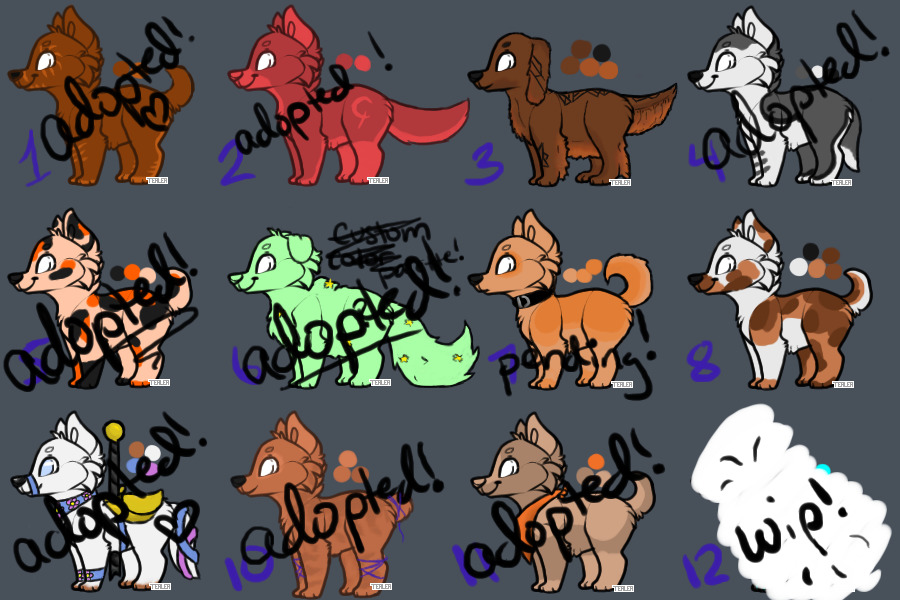 babs for adopt/sale!