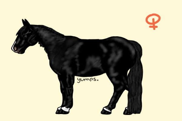 Mustang #6: Black