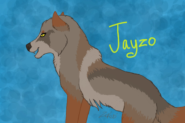 Jayzo