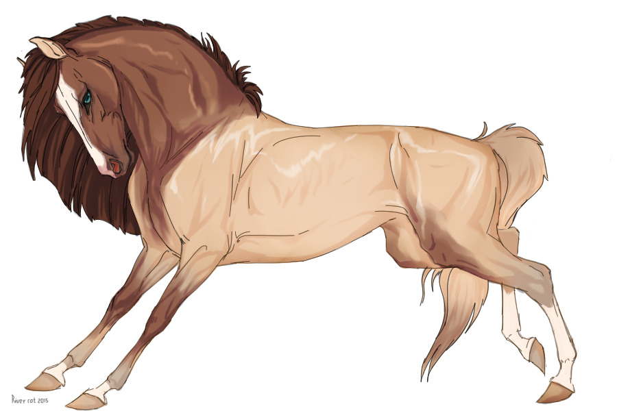 Cervinne Horses|#3