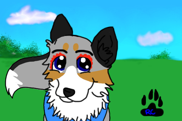 Ritacona Contest Entry