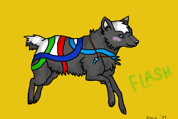Flash!
