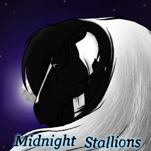 ~❊~Midnight Stallions Avatar 1~❊~