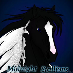 ~❊~Midnight Stallions Editable Avatar 2~❊~